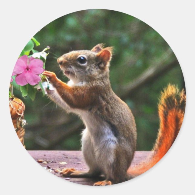 Adesivo Redondo Rosh Hashanah Cards Gifts (Frente)
