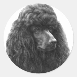 Adesivo Redondo Rosie, caniche padrão