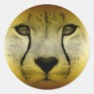 ADESIVO REDONDO ROSTO CHEETAH