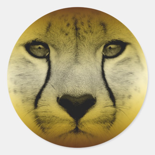 ADESIVO REDONDO ROSTO CHEETAH (Frente)