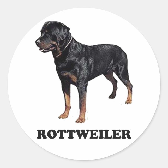 Adesivo Redondo Rottweiler (Frente)