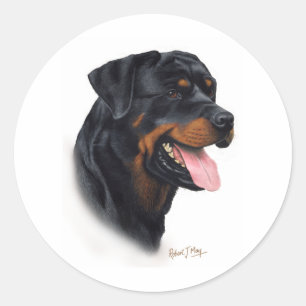 Adesivo Redondo Rottweiler
