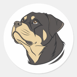 Adesivo Redondo Rottweiler Side Profile Sticker – Calm & Bold