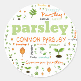ADESIVO REDONDO RÓTULO DA PALAVRA HERB - PARSLEY