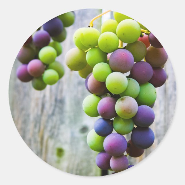 Adesivo Redondo rótulo de latão de uva (Frente)