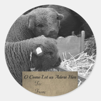 Adesivo Redondo Rótulo dos borregos de Natal