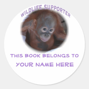 Adesivo Redondo Rótulo "Este livro pertence a"