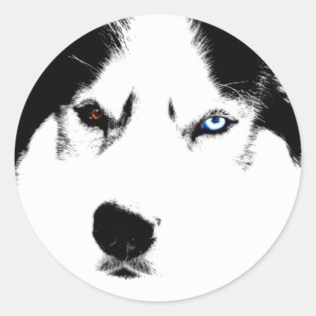 Adesivo Redondo Rouco Stickers Siberian Husky Malamute Stickers (Frente)