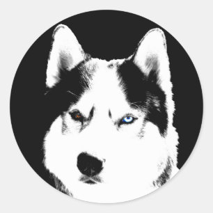 Adesivo Redondo Rouco Stickers Siberian Husky Malamute Stickers