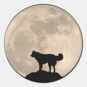 Adesivo Redondo Rouco Stickers Siberian Husky Malamute Stickers