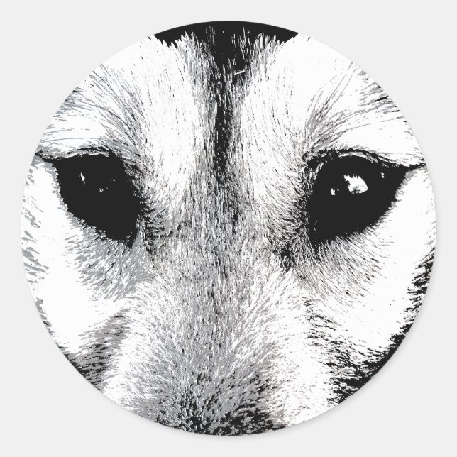 Adesivo Redondo Rouco Stickers Siberian Husky Wolf Pup Stickers (Frente)