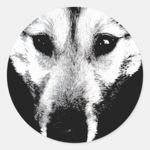 Adesivo Redondo Rouco Stickers Siberian Husky Wolf Pup Stickers