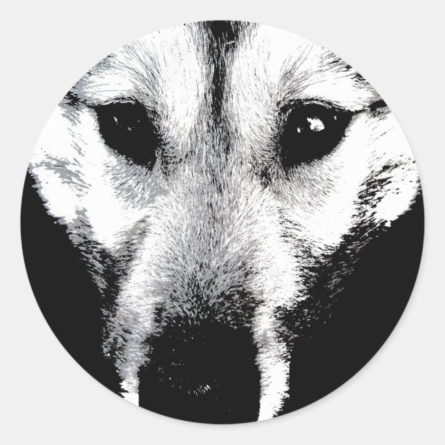 Adesivo Redondo Rouco Stickers Siberian Husky Wolf Pup Stickers (Frente)