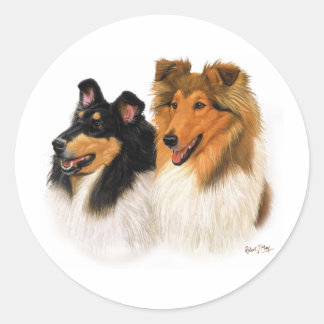 Adesivo Redondo Rough Collie