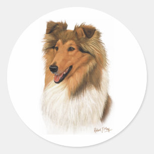 Adesivo Redondo Rough Collie