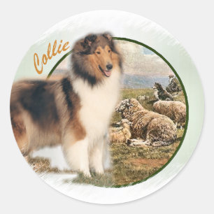 Adesivo Redondo Rough Collie Keeper da ovelha