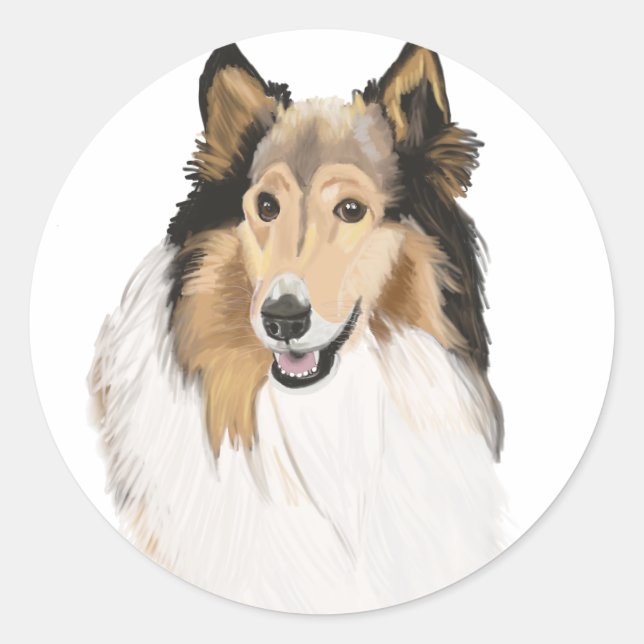 Adesivo Redondo Rough Collie, Retrato Collie de Longa Cabeça (Frente)