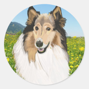 Adesivo Redondo Rough Collie, Retrato Collie de Longa Cabeça