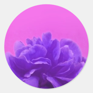 Adesivo Redondo Roxo e arte floral da framboesa