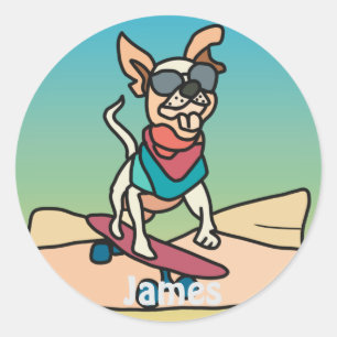 Adesivo Redondo Rua Retro Cachorro com Óculos Solares no skate
