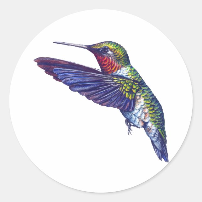 Adesivo Redondo Ruby Throated Hummingbird (Frente)
