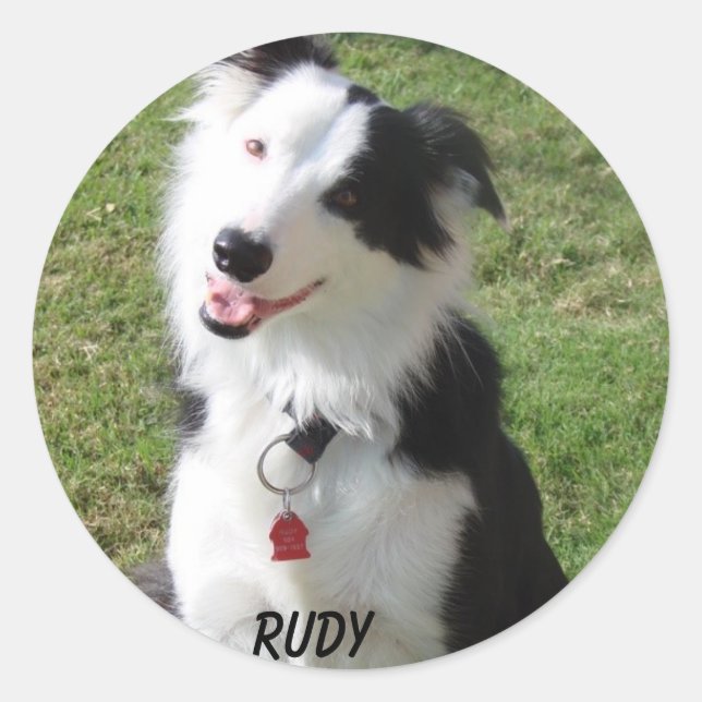 ADESIVO REDONDO RUDY (Frente)