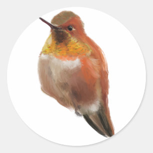 Adesivo Redondo Rufous Hummingbird (Selasphorus rufus)