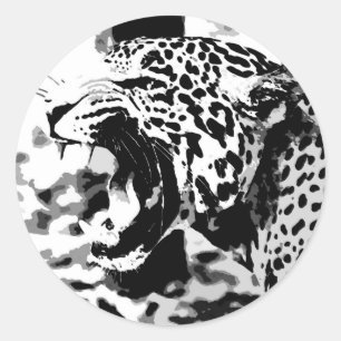 Adesivo Redondo Rujir Jaguar