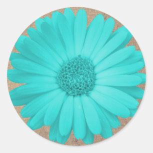Adesivo Redondo Rustic Teal Gerber Daisy Round Stickers Seals