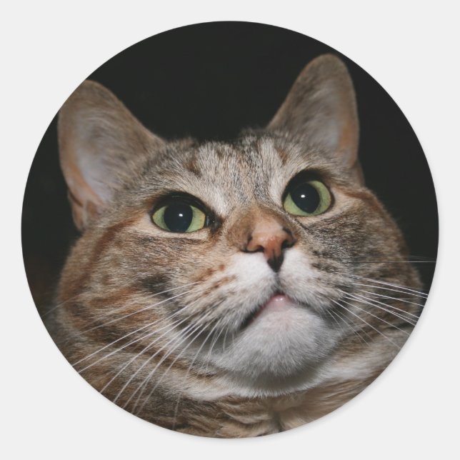 Adesivo Redondo Rusty (Frente)