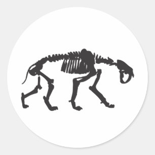 Adesivo Redondo sabertooth