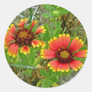 Adesivo Redondo Sacola do Wildflower do Gaillardia (flor geral)