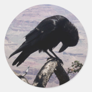Adesivo Redondo Sad Raven Stickers 01