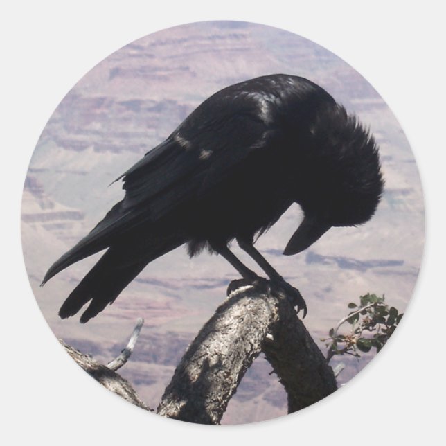 Adesivo Redondo Sad Raven Stickers 01