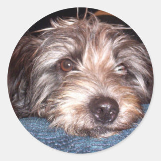 Adesivo Redondo Sadie