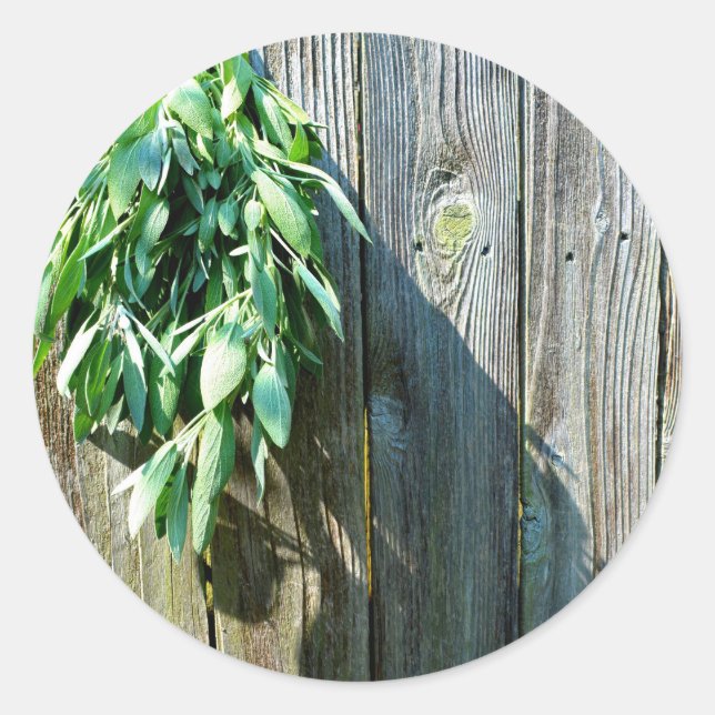 Adesivo Redondo Sage Barn-wood, recortada recentemente (Frente)