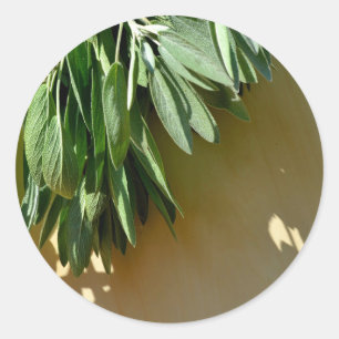 Adesivo Redondo Sage fresco