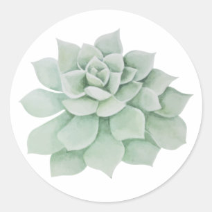 Adesivo Redondo Sage Verde Floral Suculenta Cactus Watercolor Mint