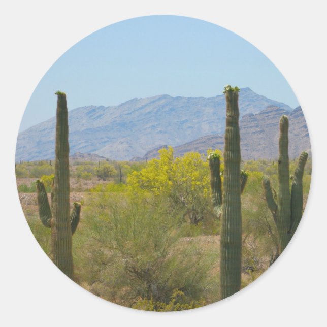 Adesivo Redondo Saguaro Cactus (Frente)