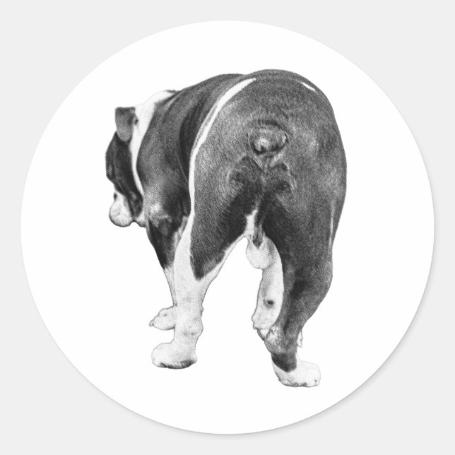 Adesivo Redondo Saída Reprodutiva, Sombreamento De Inverno Pintado (Frente)