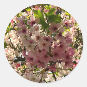 Adesivo Redondo Sakura Cherry Blossom #3 Stickers