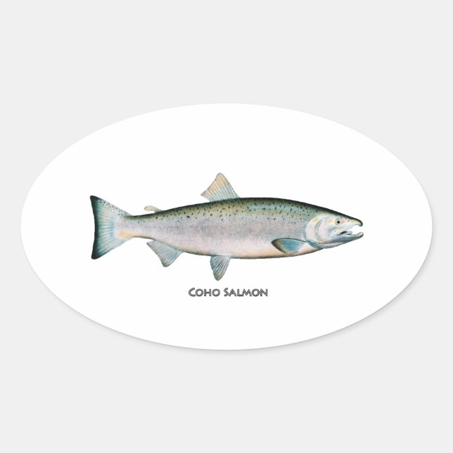 Adesivo Redondo Salmão prateado (fase oceânica) (Frente)