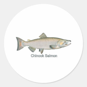 Adesivo Redondo Salmões de Chinook (intitulados)