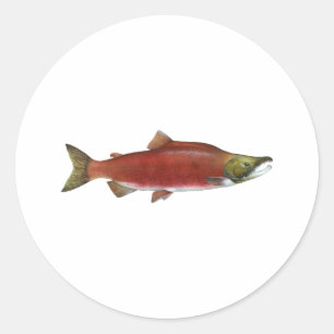 Adesivo Redondo Salmões de Sockeye