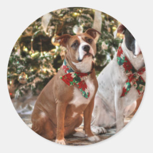 Adesivo Redondo Salvamento bonito Pitbull do Natal e cão de