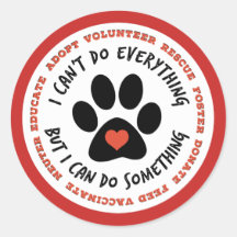 Salvamento de Gato de RESGATE ANIMAL, TNR - Posso 