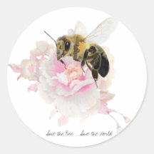 Salve a abelha! Salve o Mundo! Abelha bonito