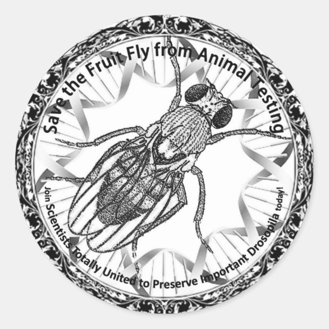 Adesivo Redondo Salve a mosca da fruta (Frente)