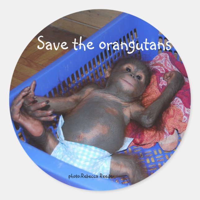 Adesivo Redondo Salve o Bebê Orangutano (Frente)