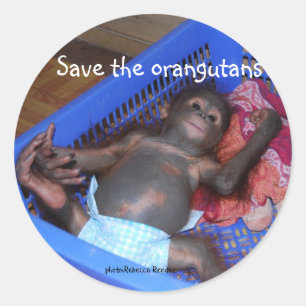 Adesivo Redondo Salve o Bebê Orangutano